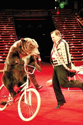 馬戲團表演出租電話